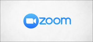 Online counselling with Zoom